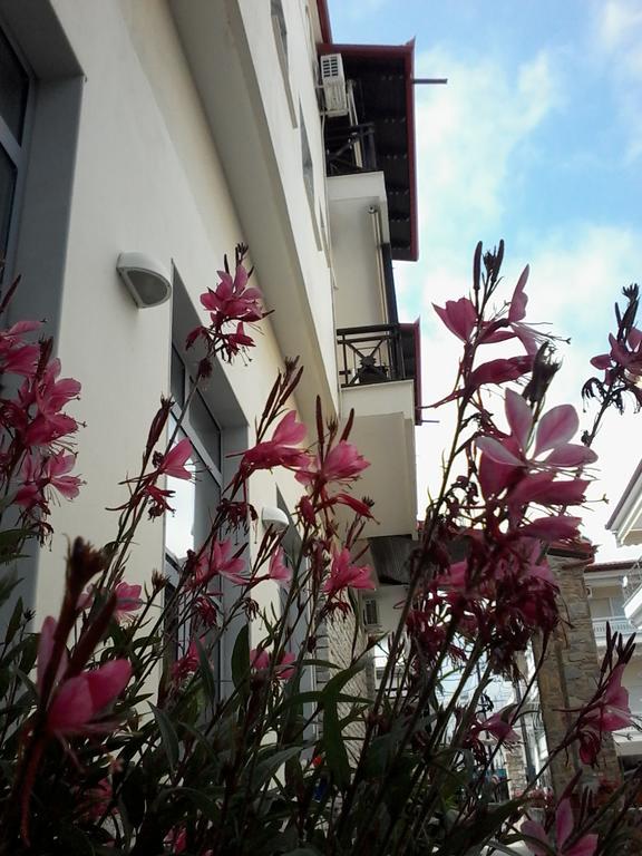Hotel Morfeas Platamonas Extérieur photo