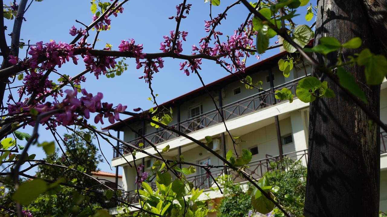 Hotel Morfeas Platamonas Extérieur photo