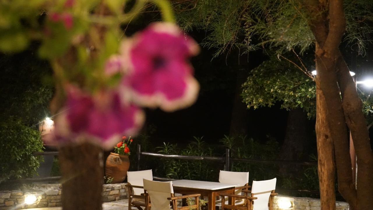 Hotel Morfeas Platamonas Extérieur photo